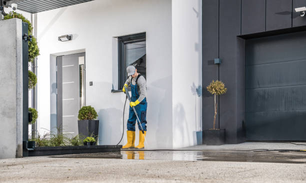 Spring Cleaning in Lucas Valley Marinwood, CA